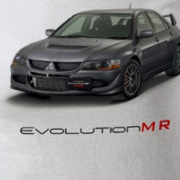 Gray Evolution MR T-shirt